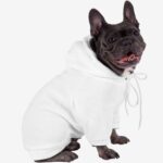 Beige Bliss Frenchie Hoodie