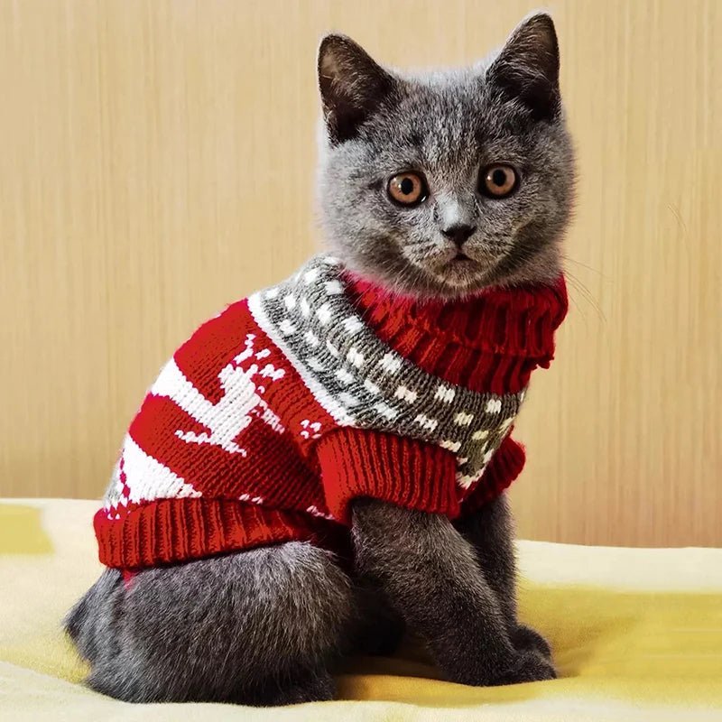 1.jpg CatMas Sweater (Limited Edition!) - Image 1