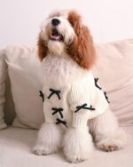 Black Bow-3D Motif Pet Sweater